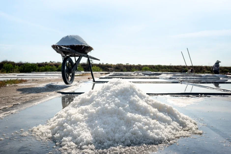 Vietnam-Specific Design Considerations: Climate, Feed Variability, and Materials