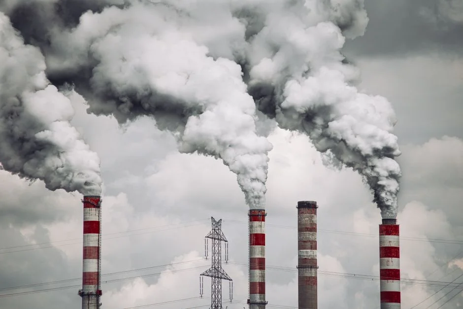 Granular vs Powdered Activated Carbon: Choosing the Right Form