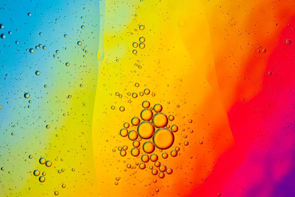 Ceramic vs Polymeric Membrane: Quantified Trade-Offs for Oily Service