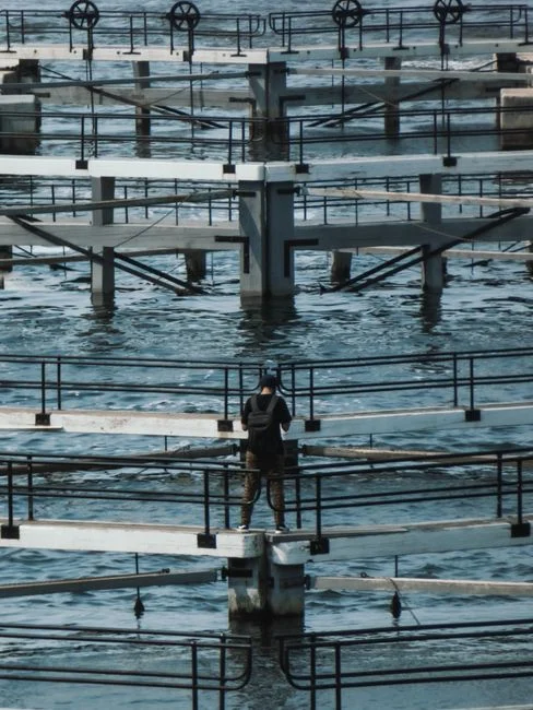 How a Lamella Clarifier Treats Organic Chemicals Wastewater