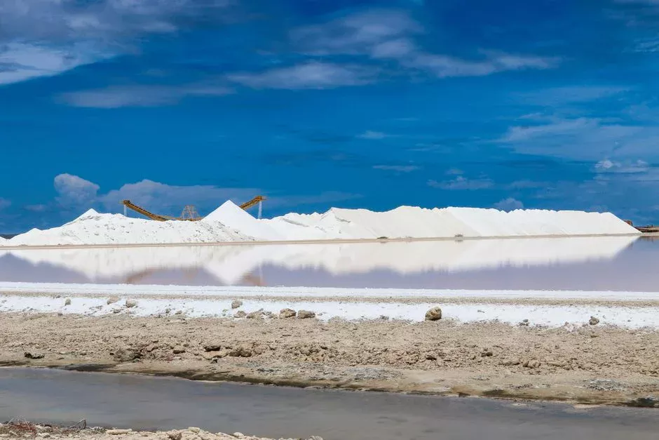 The Three Rules That Decide DAF or Clarifier for Ashcamp Mining Wastewater