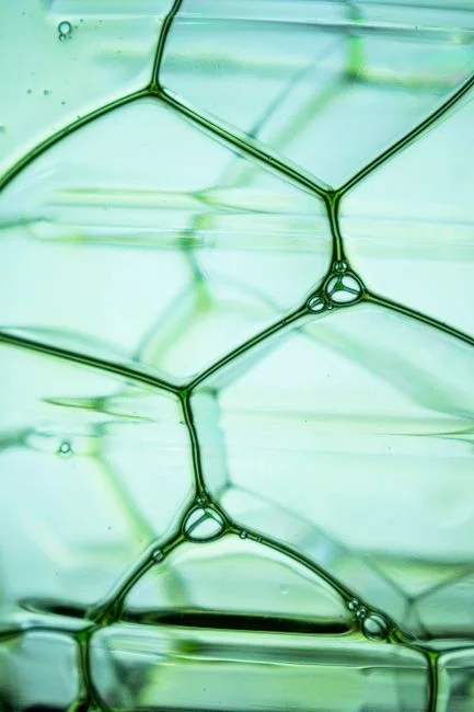 Microbubble Physics: Size, Density, and Contact Efficiency