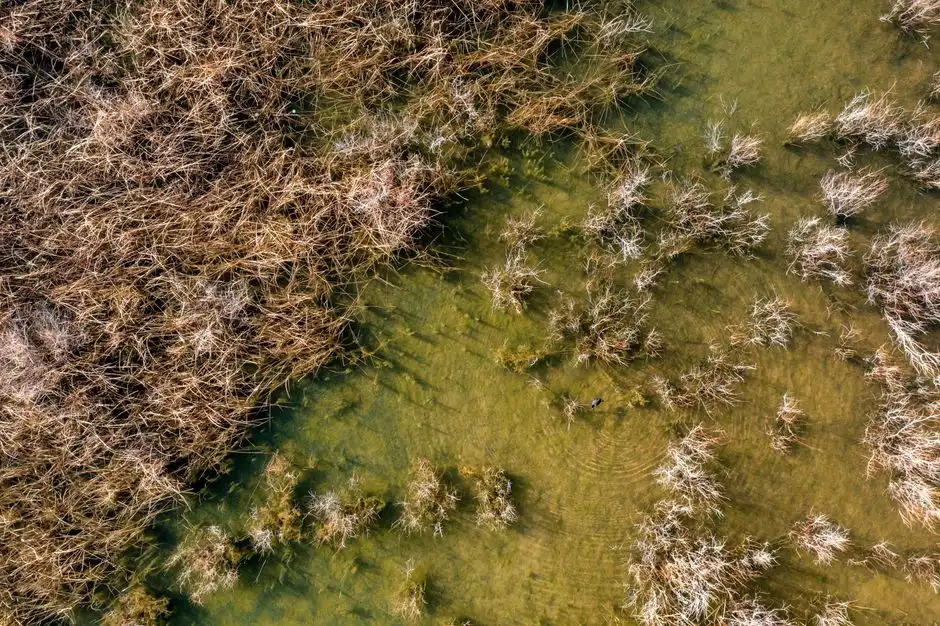 Process Options: A/O Package, SBR, MBR and Wetland Hybrids