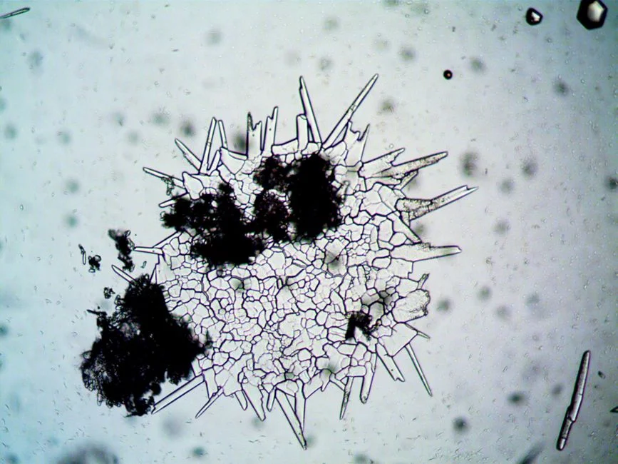 Electrode Selection: Iron vs Aluminum for Indigo Effluent