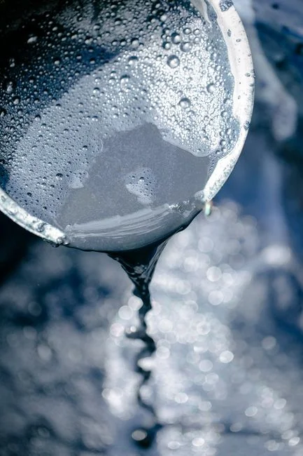 Sludge Handling and Downstream Polishing