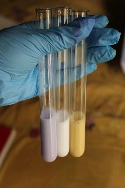 FO Membrane Types Used for Brine Concentration