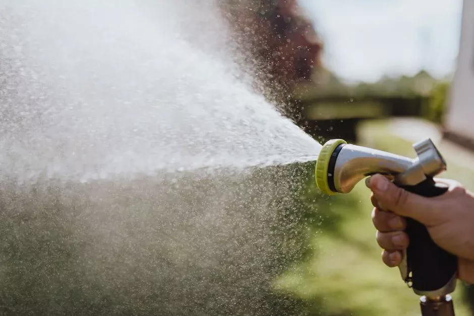 DWS and eThekwini Compliance: Discharge to Sewer vs Irrigation Reuse