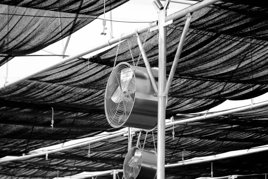 Hot-climate design features a Muscat MBR must include