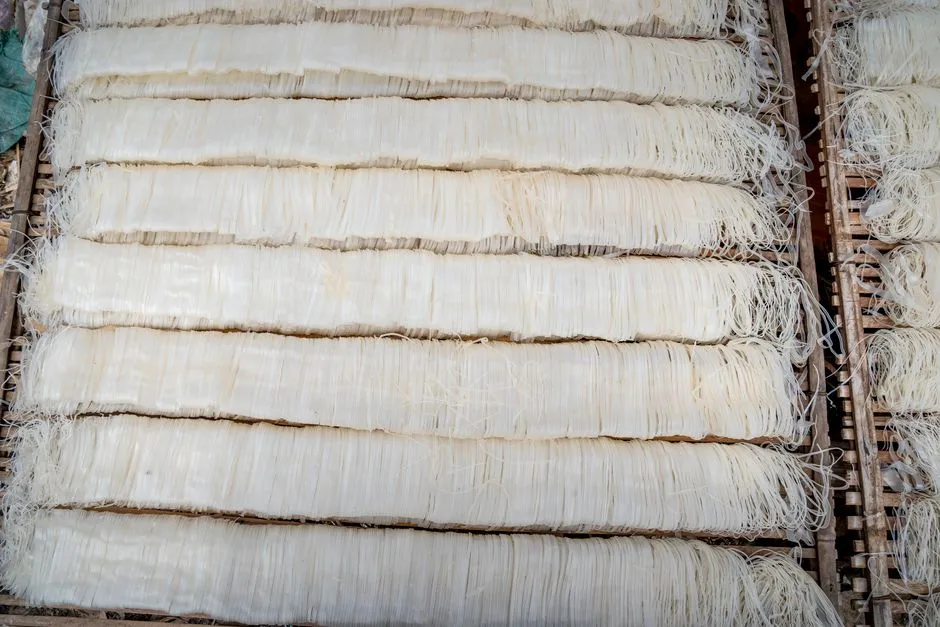 Hollow-fiber vs flat-sheet MBR: which fits an Osaka hotel