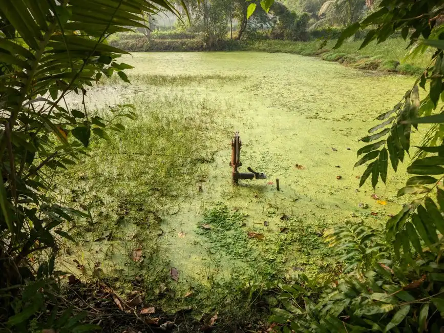 NSW Regulations and Sydney Water Acceptance: What the Plant Must Show