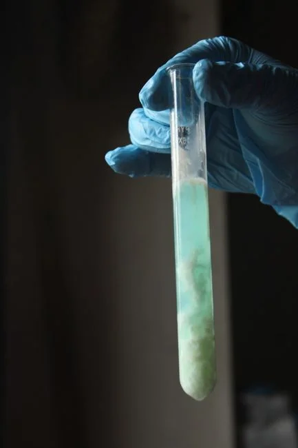 Multimedia Polish, Disinfection, and Sludge Dewatering