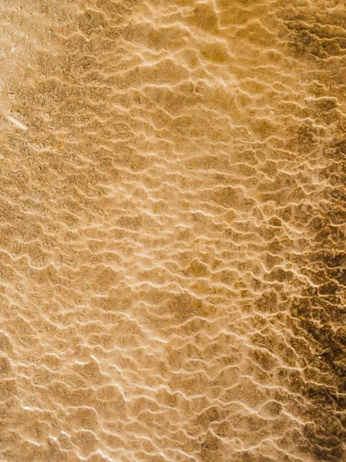 DAF vs Lamella: Which Clarifier Fits the Stream