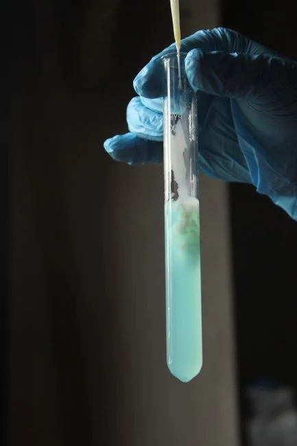 Polishing, disinfection, and sludge handling