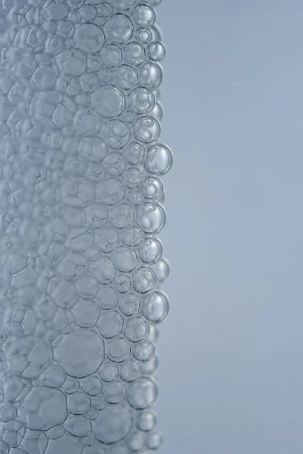 How the Biofilm Actually Cleans the Water
