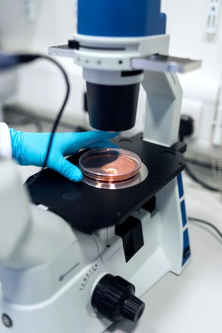 Effluent Quality, Footprint, and Microplastic Removal