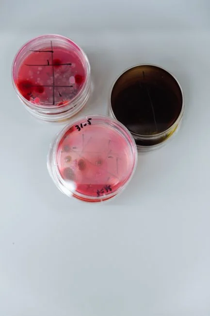 Side-by-side parameters: MBR vs CAS for petroleum wastewater