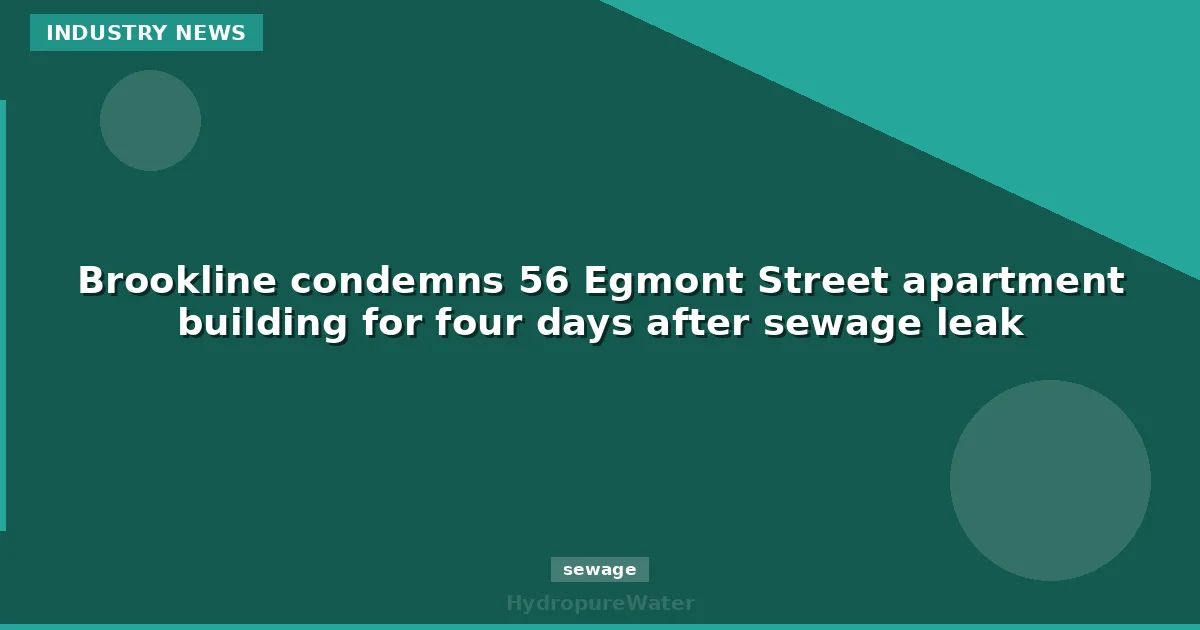 Brookline condemns 56 Egmont Street apartment building for four days after sewage leak