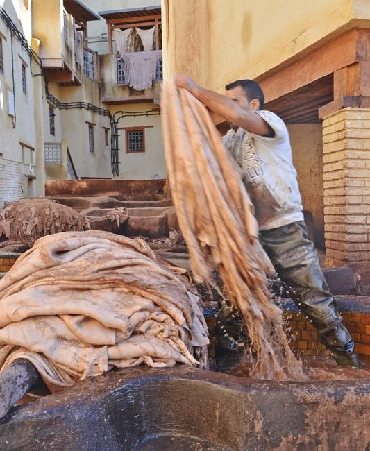 2026 Compliance Map for Tannery Sludge Disposal and Reuse