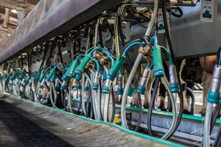 Fouling Control, Backwash, and CIP Design