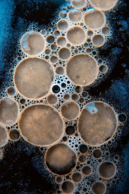 A 2026 Microbiological Lens on the Schematic