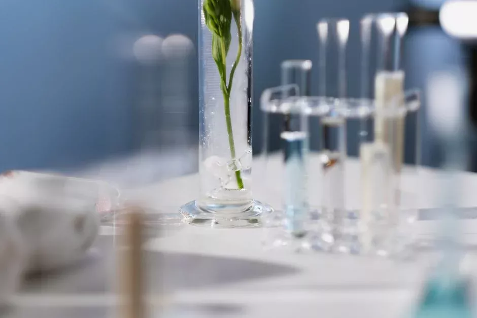 Problem 4: Bromate formation in ozone and peroxone systems