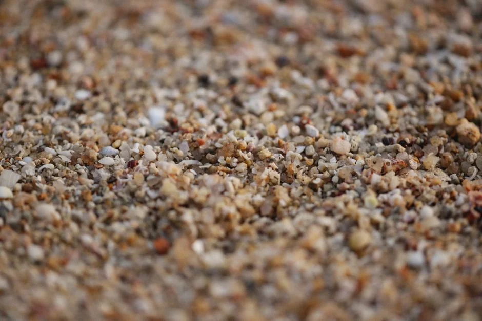 Biological Stages: UASB/IC, MBBR, and MBR