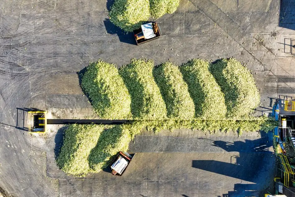 From Pilot to Plant — What to Specify in the Vendor Proposal
