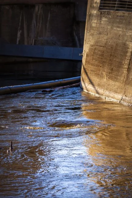 DAF Performance Benchmarks from High-Strength Industrial Effluents