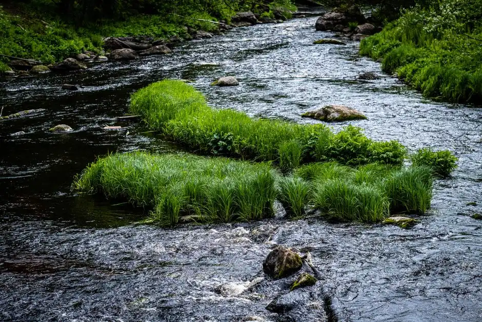 Technology options for Accra domestic sewage: MBR, A/O packaged plants, and constructed wetlands