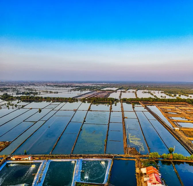 Four Process Routes That Work for Constantine in 2026