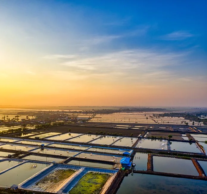 Process Options: A/O Packaged, MBR, SBR, Vermifiltration and CW-MFC