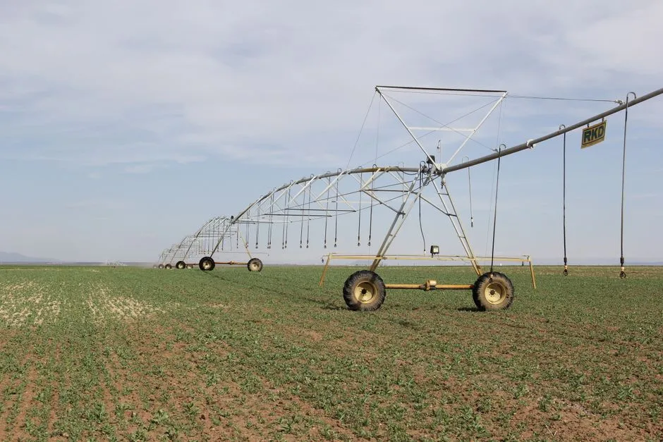 Plan Sludge, Disinfection and Reuse Before Finalizing Equipment