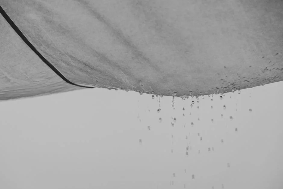 Filter Cloth Selection for Organic, Fibrous Sludge