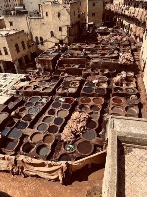From Cake to Co-Product: Valorising Tannery Filter Press Sludge