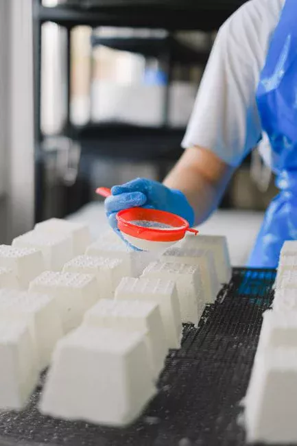 Sizing the Press: From Dry-Solids Throughput to Plate Area and Cycle Time