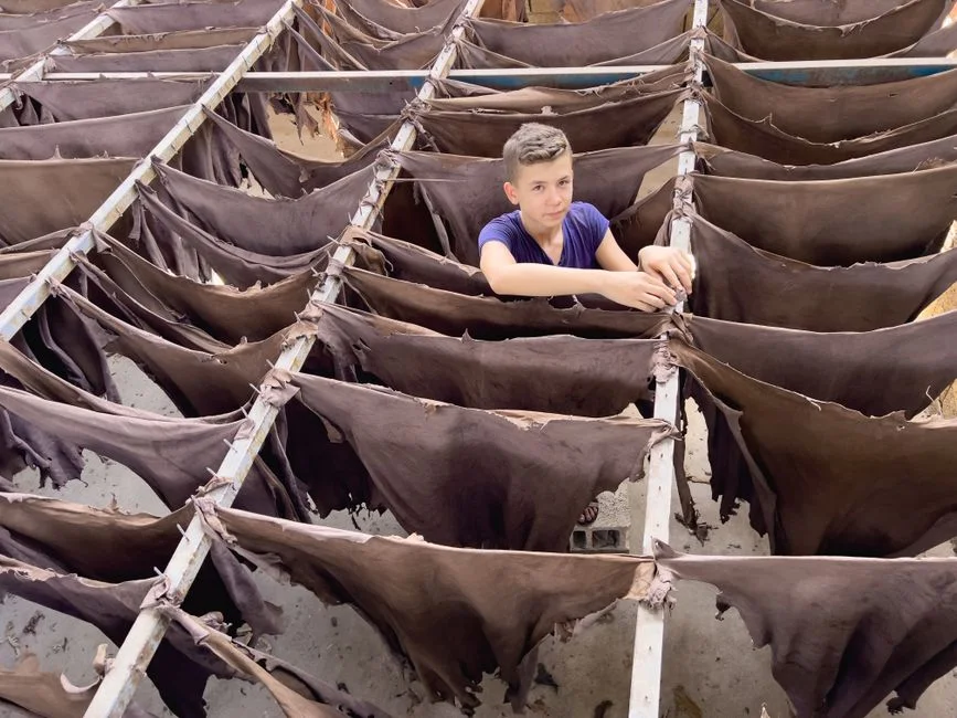 Sizing the press from daily wastewater flow and hide throughput