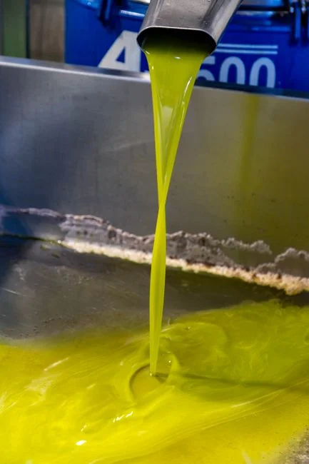 Step 1 — Characterise the Vegetable Sludge Before Sizing the Press