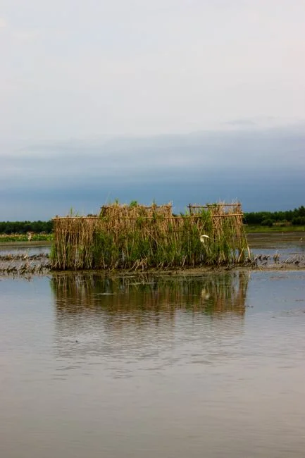 Choosing the Biological Train: MBR, Buried A/O, SBR, Wetland or Vermifiltration