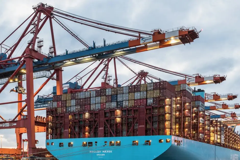 Container Selection: 20-ft vs. 40-ft ISO and What Goes Inside