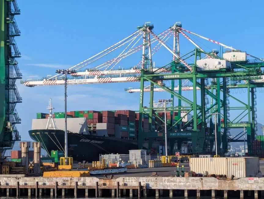 Choix d'un conteneur high-cube de 20' ou de 40' selon le projet
