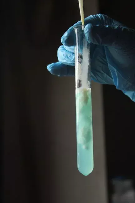 La règle de décision hydroxyde contre sulfure pour les effluents de la zone de Gordon