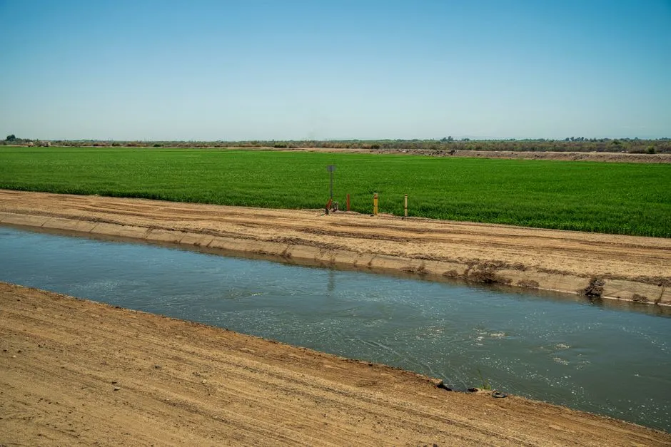 Free Water Surface vs Subsurface Flow: The Two Main Designs