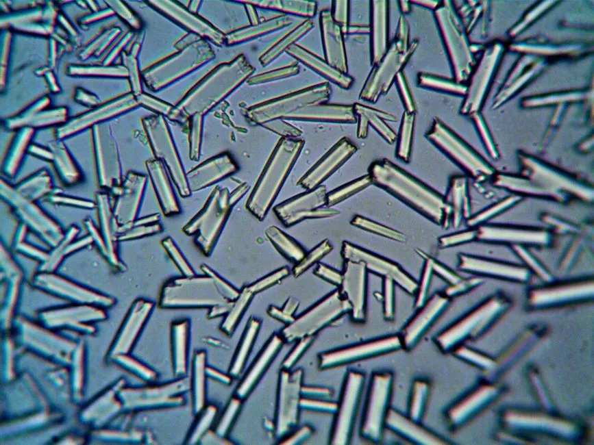 Diagnosing the Fouling Type Before You Dose Anything