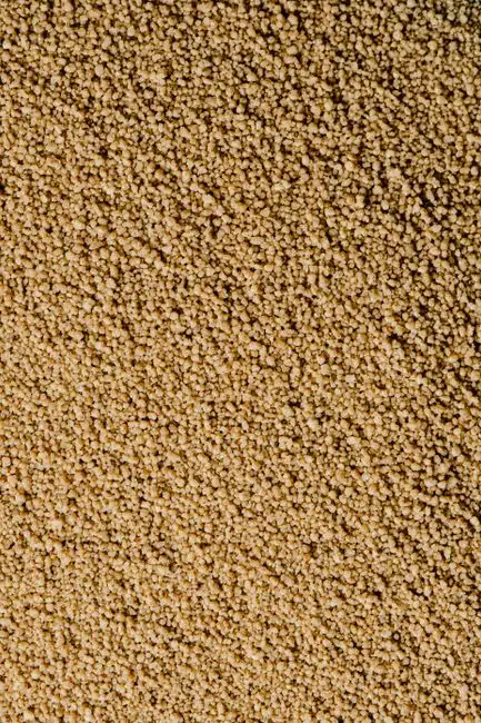 Oxidation, Thermal Damage and Regeneration Scaling