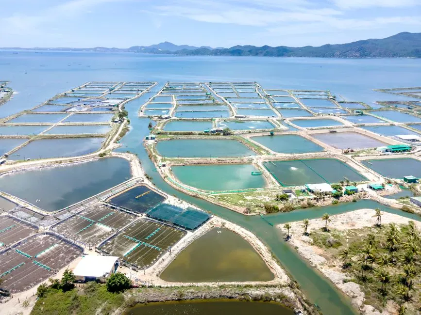 Sizing an Aquaculture MABR: Inputs the Supplier Must Have