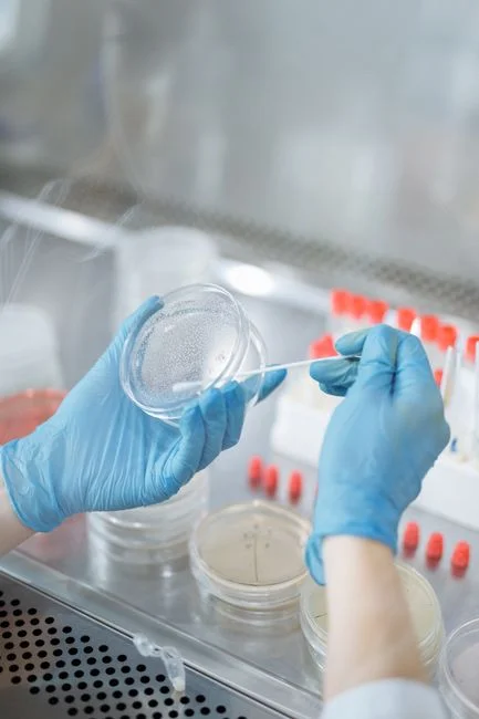 Research Results Across Laundry MBBR Studies
