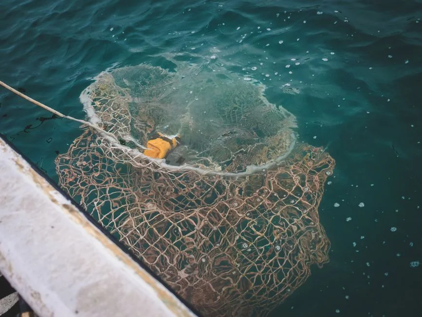 Operating Risks: Membrane Fouling, FOG Slugs, and Nitrification Stability