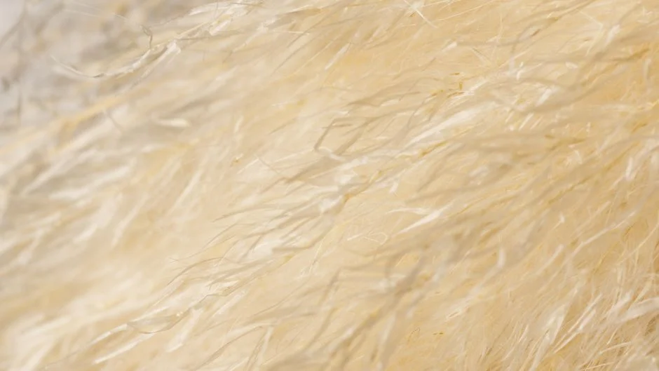 MBR Membrane Bioreactor: The Compact Reuse-Grade Option
