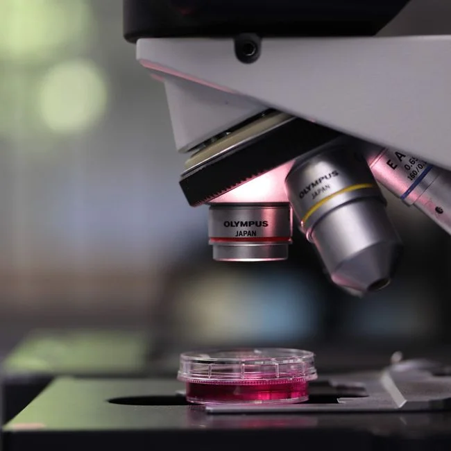 Biological Treatment: Choosing UASB, SBR, CASS, or MBR for Pharma Duty