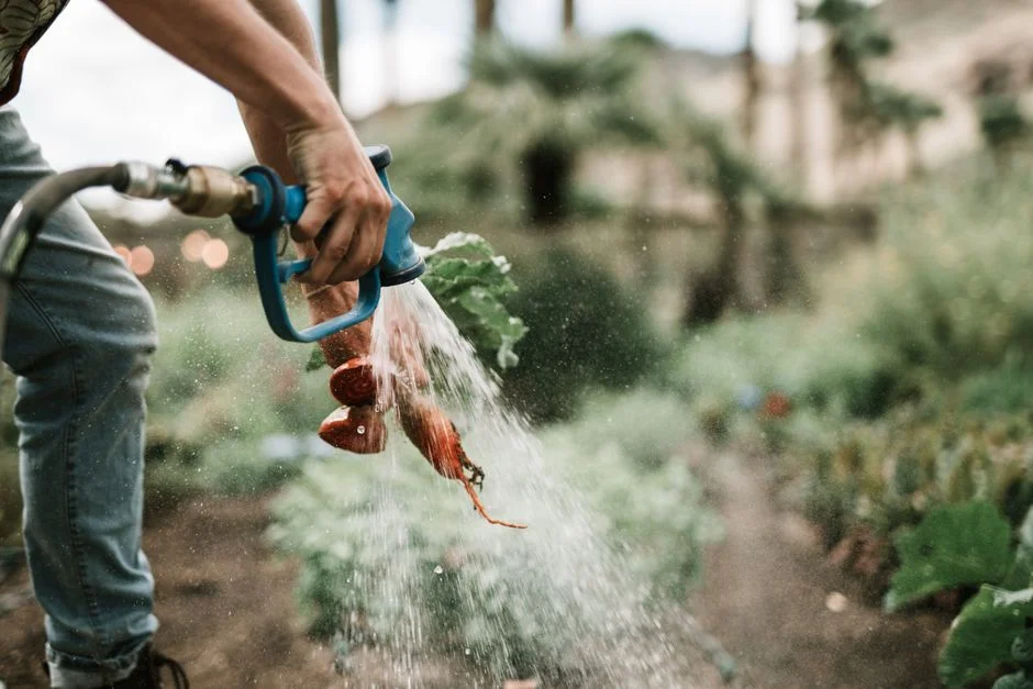 Sizing a Residential Plant in an Arid Climate